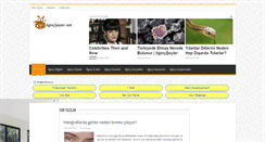 Desktop Screenshot of ilgincseyler.net